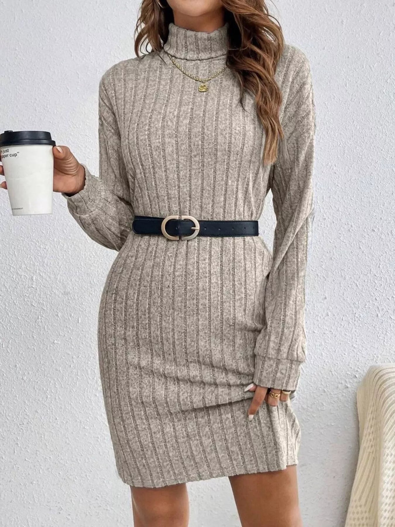Ribbed Knit Turtleneck Mini Dress - Luxe Lane Apparel