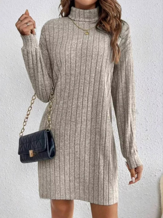 Ribbed Knit Turtleneck Mini Dress - Luxe Lane Apparel